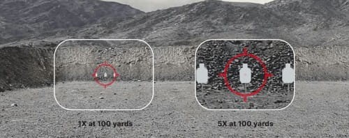 t5.jpg
