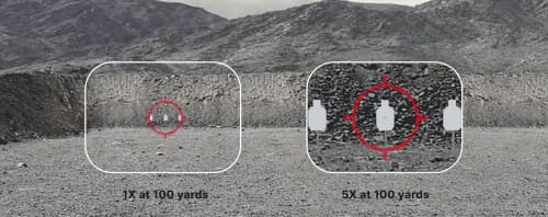 t5.jpg